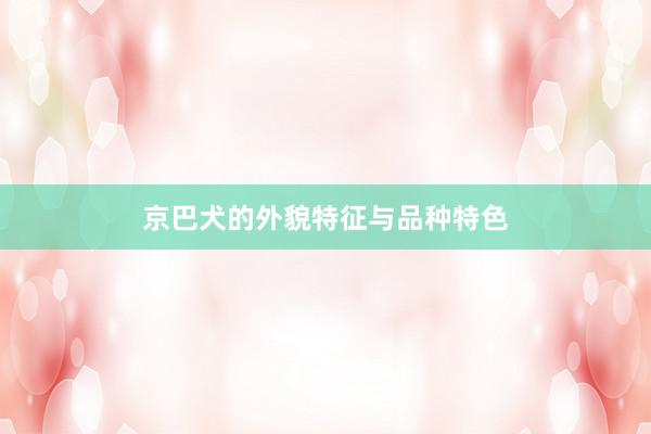 京巴犬的外貌特征与品种特色