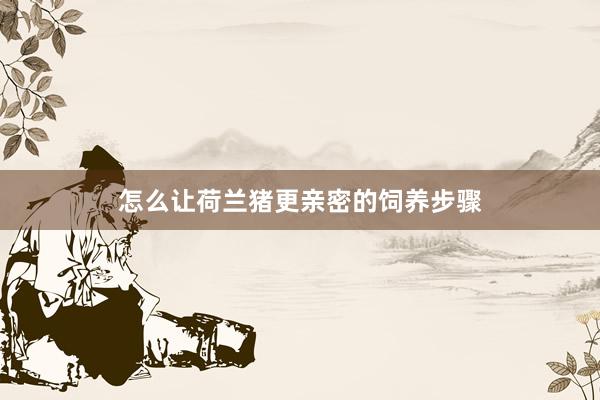 怎么让荷兰猪更亲密的饲养步骤